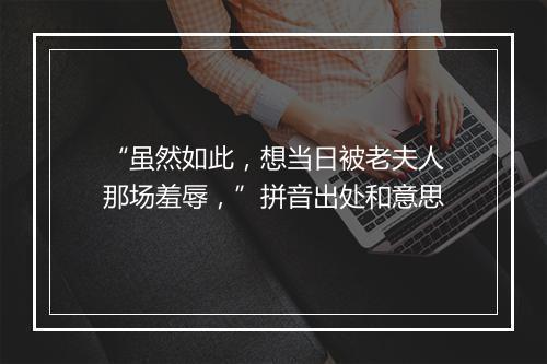 “虽然如此，想当日被老夫人那场羞辱，”拼音出处和意思