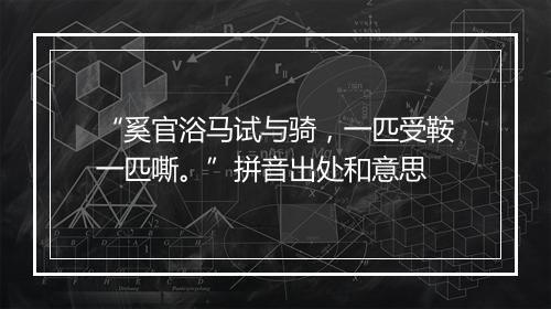 “奚官浴马试与骑，一匹受鞍一匹嘶。”拼音出处和意思