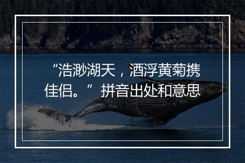 “浩渺湖天，酒浮黄菊携佳侣。”拼音出处和意思