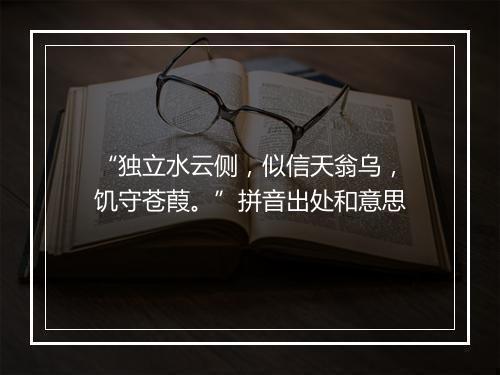 “独立水云侧，似信天翁乌，饥守苍葭。”拼音出处和意思