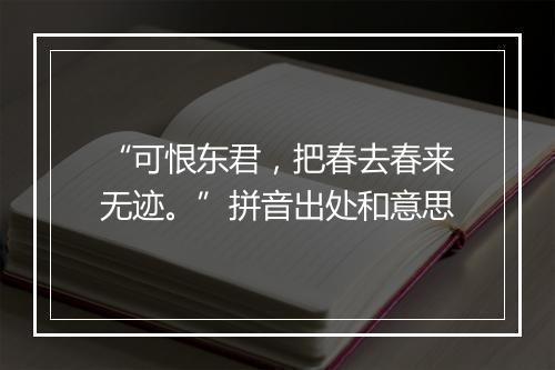 “可恨东君，把春去春来无迹。”拼音出处和意思