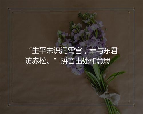 “生平未识洞霄宫，幸与东君访赤松。”拼音出处和意思