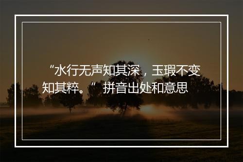 “水行无声知其深，玉瑕不变知其粹。”拼音出处和意思