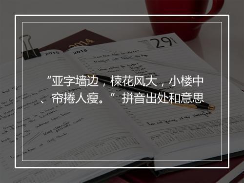 “亚字墙边，楝花风大，小楼中、帘捲人瘦。”拼音出处和意思