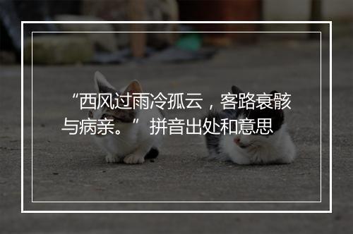 “西风过雨冷孤云，客路衰骸与病亲。”拼音出处和意思