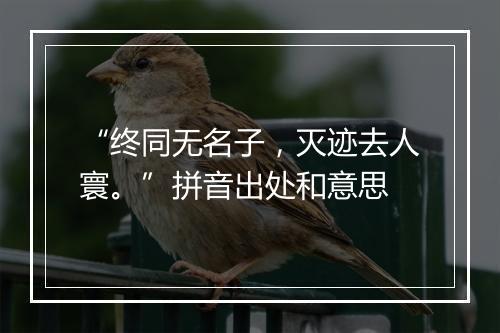 “终同无名子，灭迹去人寰。”拼音出处和意思