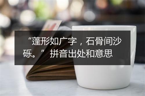 “蓬形如广字，石骨间沙砾。”拼音出处和意思