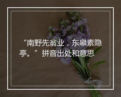 “南野先翁业，东皋素隐亭。”拼音出处和意思