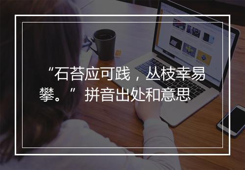 “石苔应可践，丛枝幸易攀。”拼音出处和意思