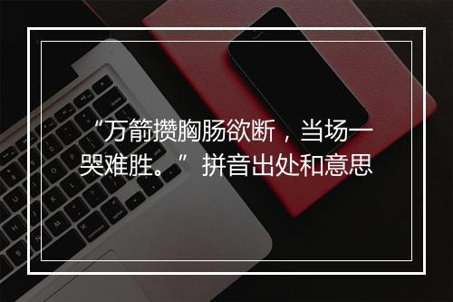 “万箭攒胸肠欲断，当场一哭难胜。”拼音出处和意思