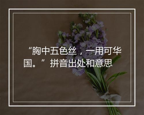 “胸中五色丝，一用可华国。”拼音出处和意思