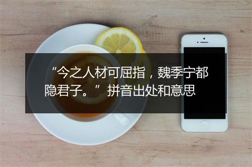 “今之人材可屈指，魏季宁都隐君子。”拼音出处和意思