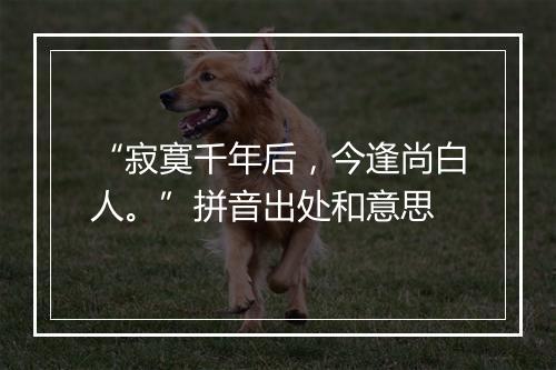 “寂寞千年后，今逢尚白人。”拼音出处和意思