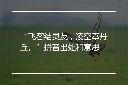 “飞客结灵友，凌空萃丹丘。”拼音出处和意思