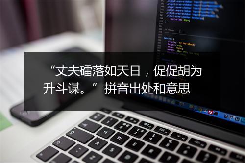 “丈夫礌落如天日，促促胡为升斗谋。”拼音出处和意思