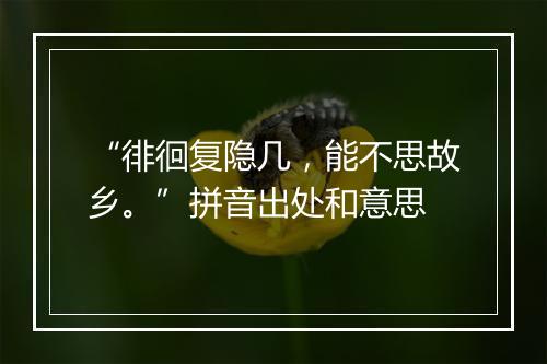 “徘徊复隐几，能不思故乡。”拼音出处和意思