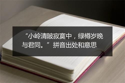 “小岭清陂寂寞中，绿樽岁晚与君同。”拼音出处和意思