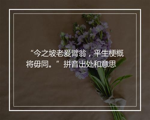 “今之坡老爰臂翁，平生梗概将毋同。”拼音出处和意思