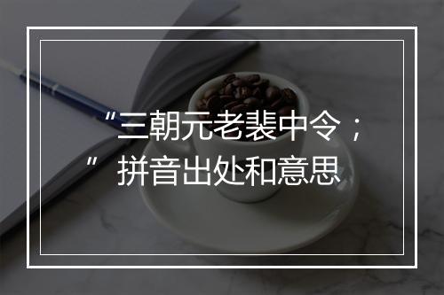 “三朝元老裴中令；”拼音出处和意思