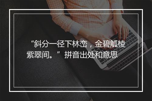 “斜分一径下林峦，金碧觚棱紫翠间。”拼音出处和意思