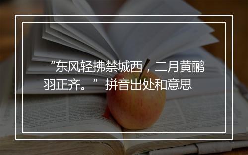 “东风轻拂禁城西，二月黄鹂羽正齐。”拼音出处和意思