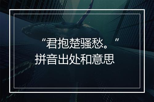 “君抱楚骚愁。”拼音出处和意思