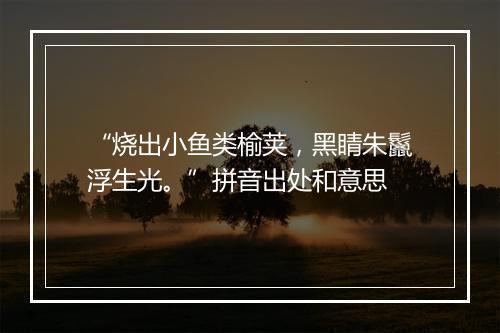 “烧出小鱼类榆荚，黑睛朱鬣浮生光。”拼音出处和意思