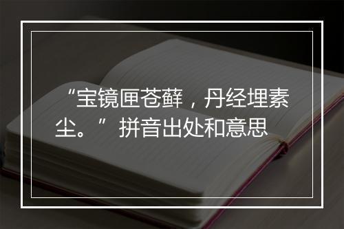 “宝镜匣苍藓，丹经埋素尘。”拼音出处和意思