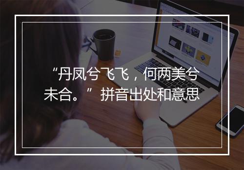 “丹凤兮飞飞，何两美兮未合。”拼音出处和意思