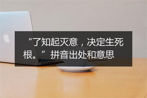 “了知起灭意，决定生死根。”拼音出处和意思