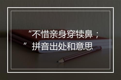 “不惜亲身穿犊鼻；”拼音出处和意思