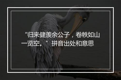 “归来健羡余公子，卷帙如山一览空。”拼音出处和意思