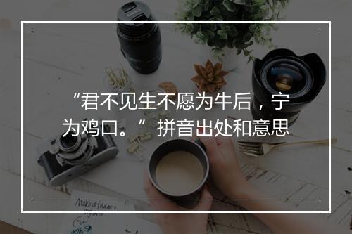 “君不见生不愿为牛后，宁为鸡口。”拼音出处和意思