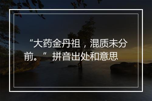 “大药金丹祖，混质未分前。”拼音出处和意思