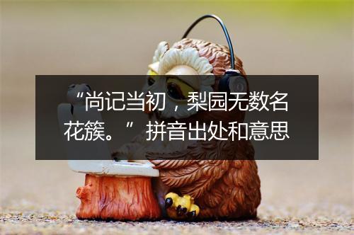 “尚记当初，梨园无数名花簇。”拼音出处和意思