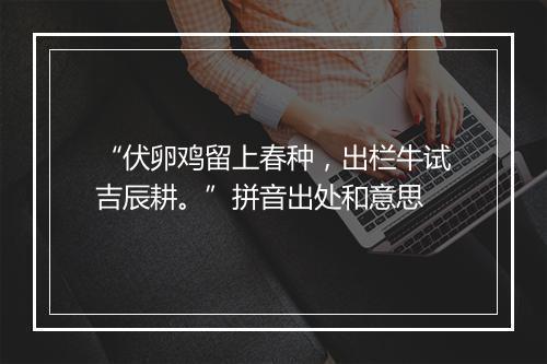 “伏卵鸡留上春种，出栏牛试吉辰耕。”拼音出处和意思