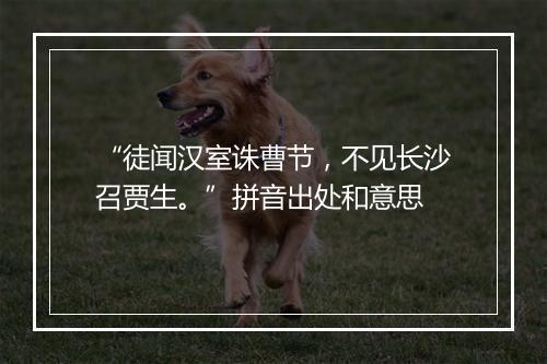 “徒闻汉室诛曹节，不见长沙召贾生。”拼音出处和意思