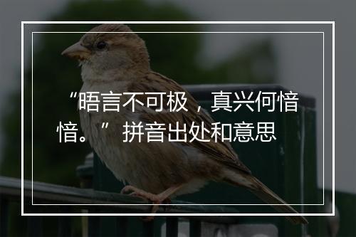 “晤言不可极，真兴何愔愔。”拼音出处和意思