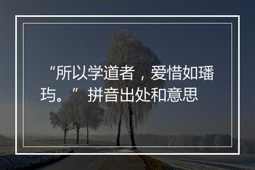 “所以学道者，爱惜如璠玙。”拼音出处和意思