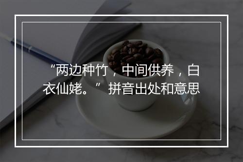 “两边种竹，中间供养，白衣仙姥。”拼音出处和意思