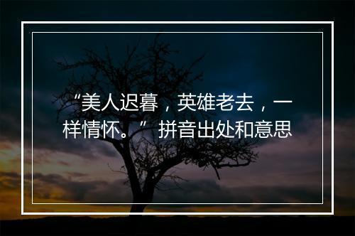 “美人迟暮，英雄老去，一样情怀。”拼音出处和意思