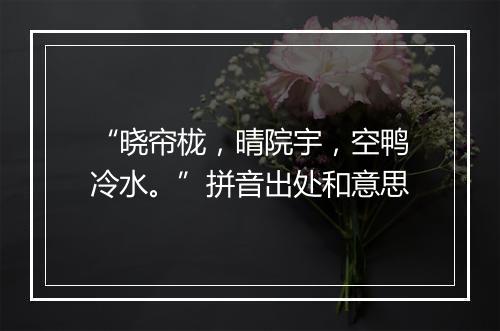 “晓帘栊，晴院宇，空鸭冷水。”拼音出处和意思