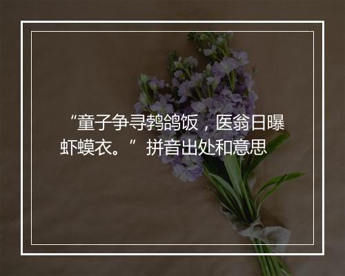 “童子争寻鹁鸽饭，医翁日曝虾蟆衣。”拼音出处和意思