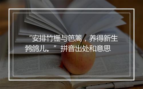 “安排竹栅与笆篱，养得新生鹁鸽儿。”拼音出处和意思