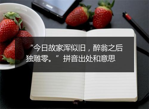 “今日故家浑似旧，醉翁之后独雕零。”拼音出处和意思