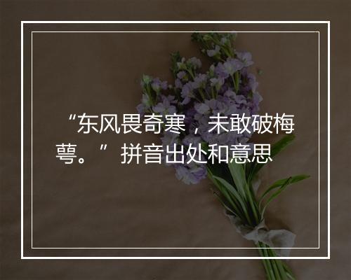 “东风畏奇寒，未敢破梅萼。”拼音出处和意思