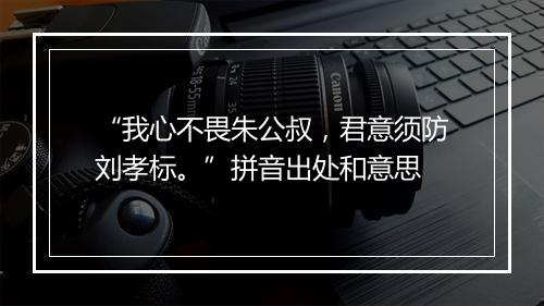 “我心不畏朱公叔，君意须防刘孝标。”拼音出处和意思