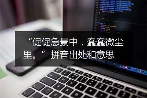 “促促急景中，蠢蠢微尘里。”拼音出处和意思