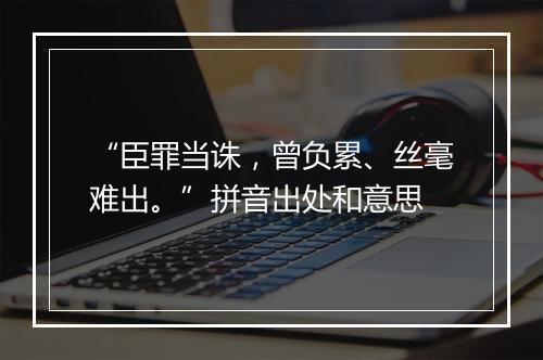 “臣罪当诛，曾负累、丝毫难出。”拼音出处和意思