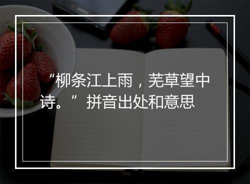 “柳条江上雨，芜草望中诗。”拼音出处和意思